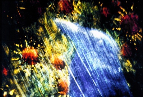 PF Kayla Parker - Unknown Woman