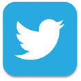 Twitter Bird