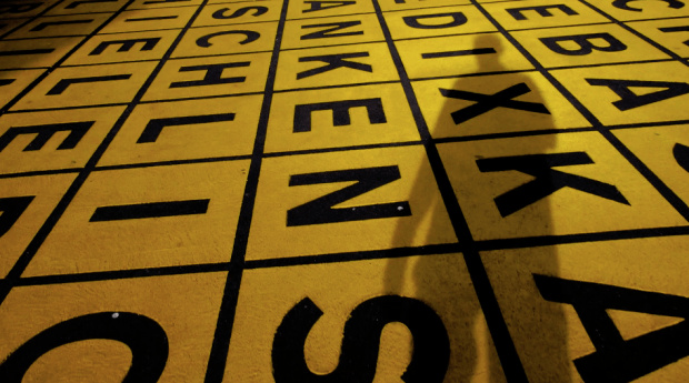 My Shadow: an Illusion of Me