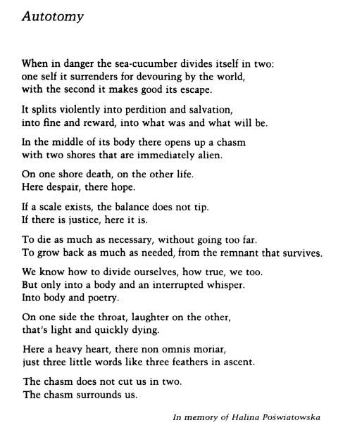 A Poem for National Poetry Day: “Autotomy” by Wisława Szymborska ...