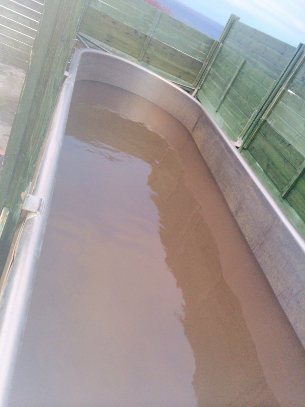 geothermal cheese tub 