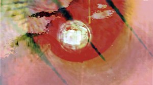 PF Parallax 14.jpg Francesca Ricci