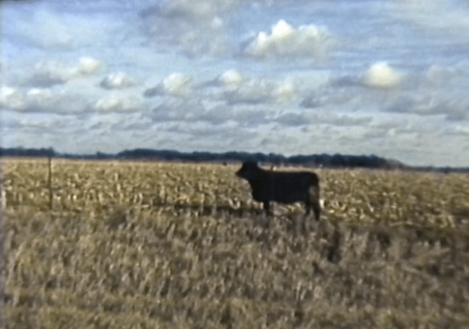 Screen Shot 2016-08-06 at 16.33.30