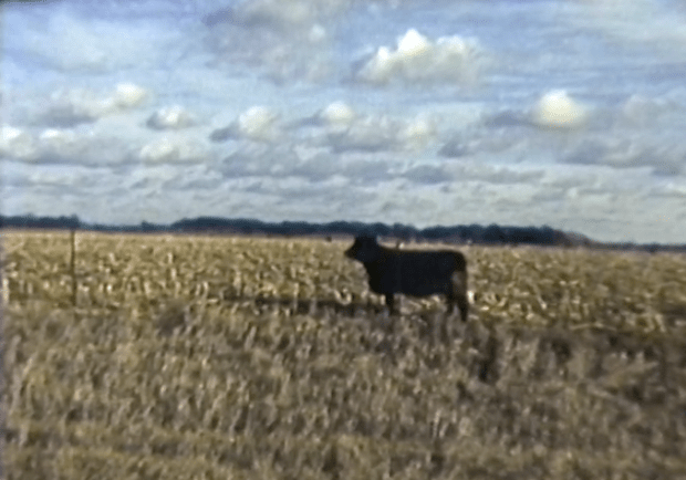 Screen Shot 2016-08-06 at 16.33.30